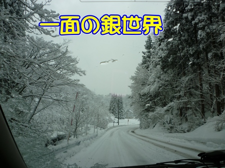 01-04-P1010732.JPG